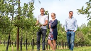 Nieuwe kansen voor  de Belgische fruitsector - Regio - Sint-Truiden