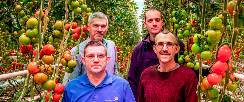 Vier generaties specialisten in tomaten